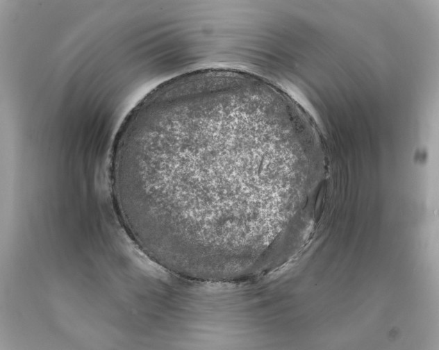 X0000091061068200709041154