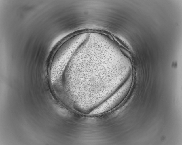 X0000091061070200709041154