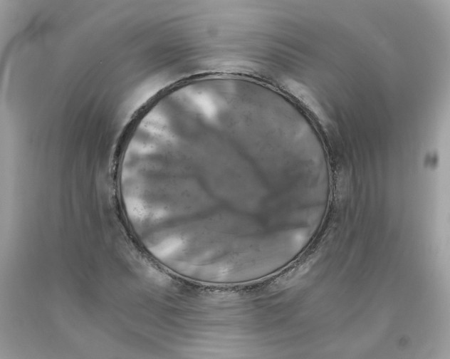 X0000091061071200709041154