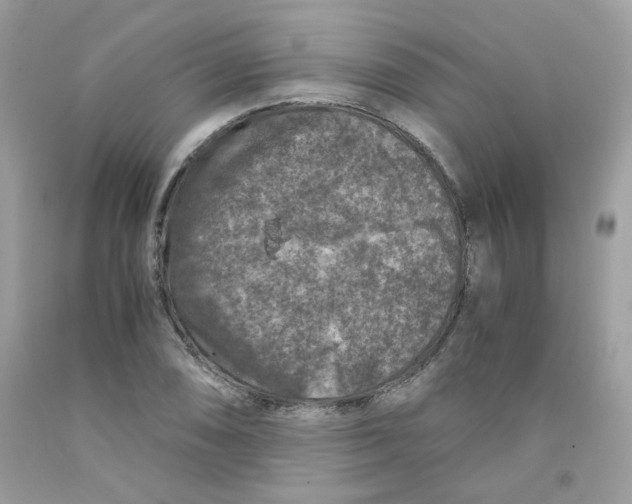 X0000091061074200709041153