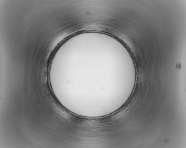 X0000091061075200709041153