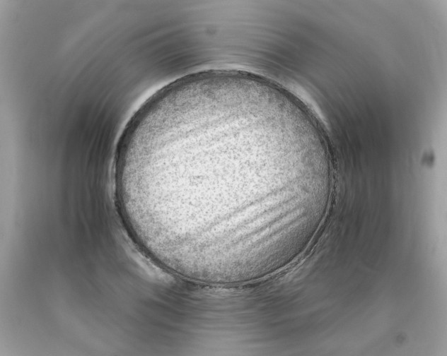 X0000091061076200709041153