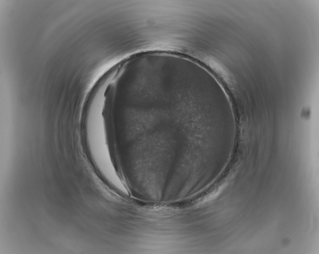 X0000091061077200709041153