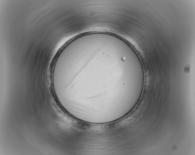 X0000091061078200709041153