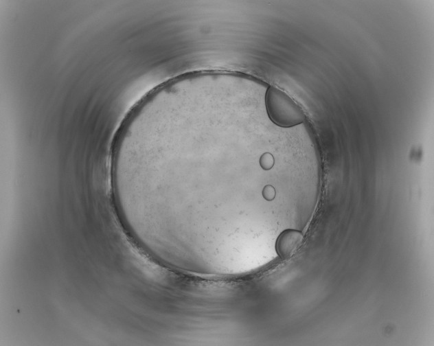 X0000091061079200709041153