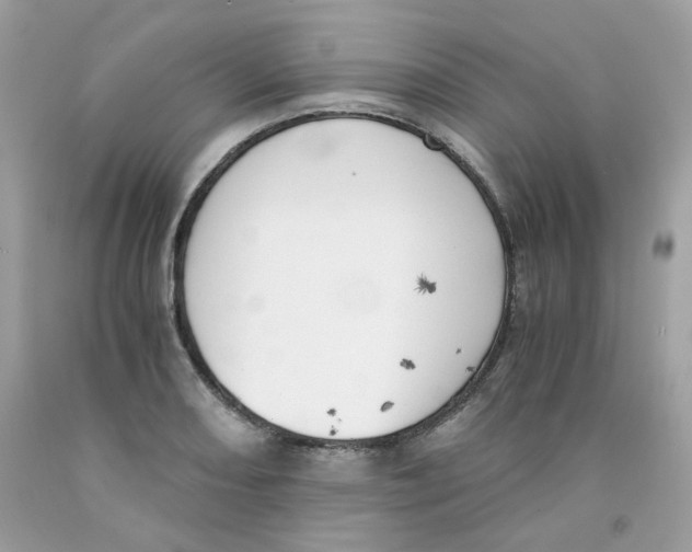 X0000091061082200709041153