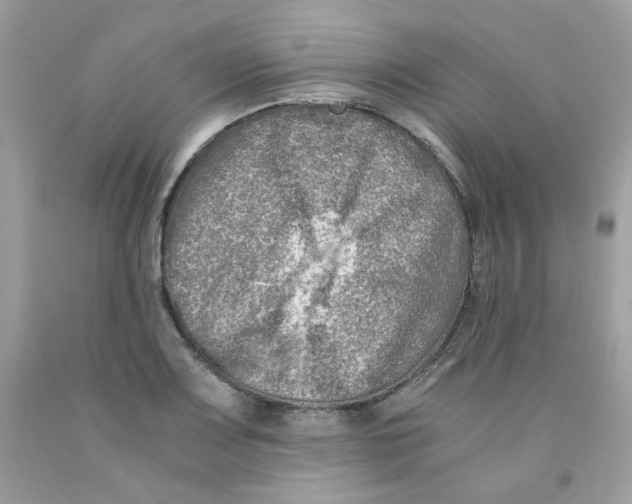 X0000091061083200709041153