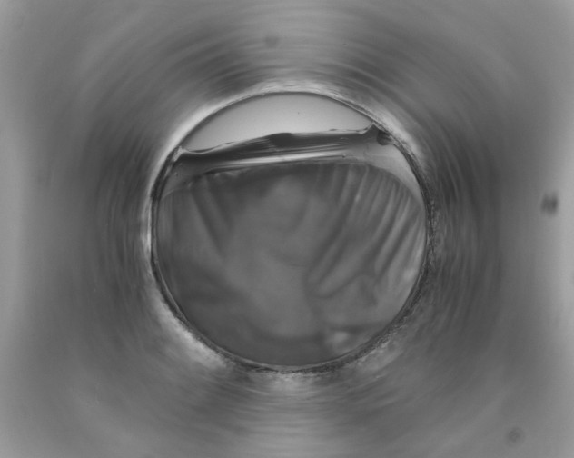 X0000091061084200709041153