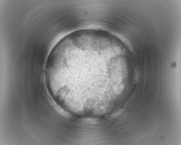 X0000091061086200709041153