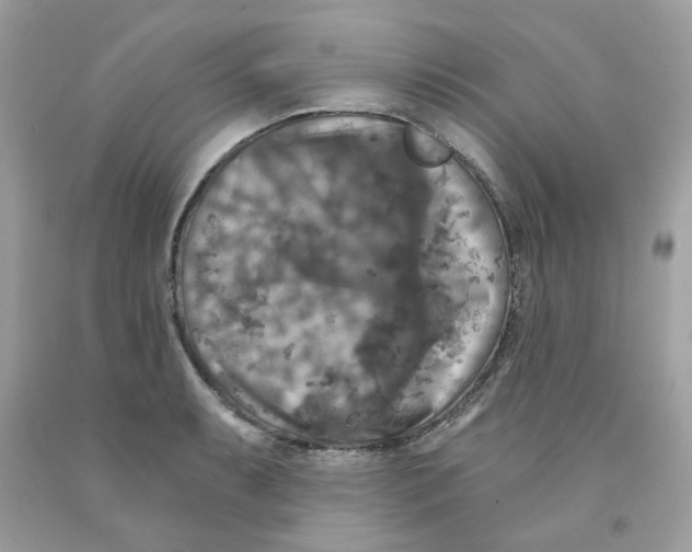 X0000091061087200709041153