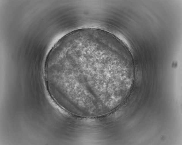 X0000091061088200709041153