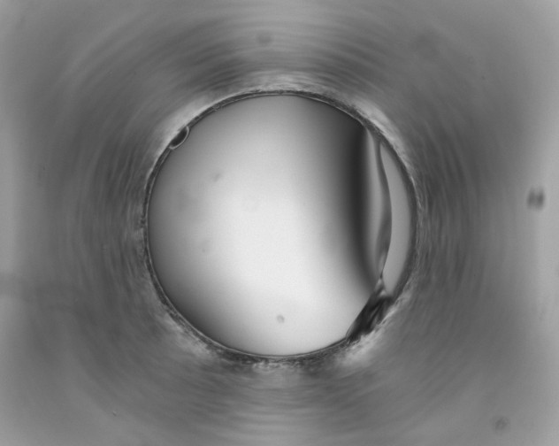 X0000091061089200709041153