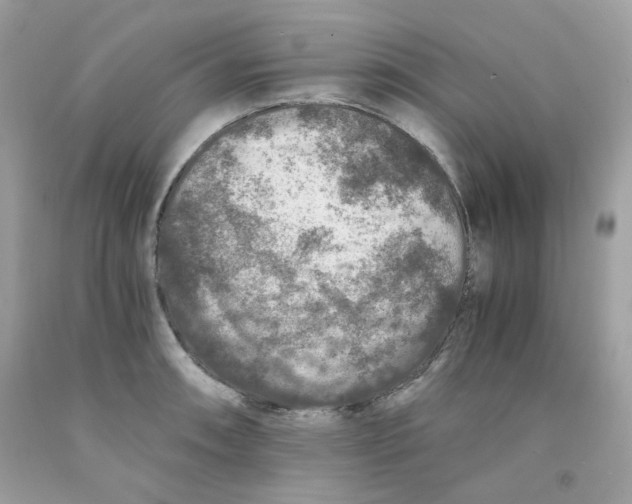 X0000091061090200709041153