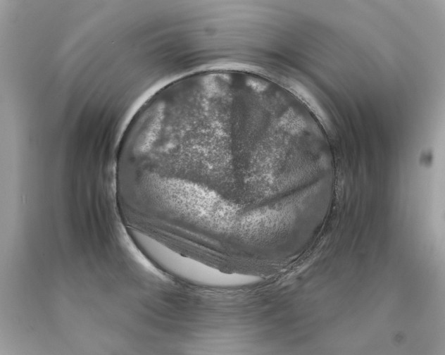 X0000091061092200709041153