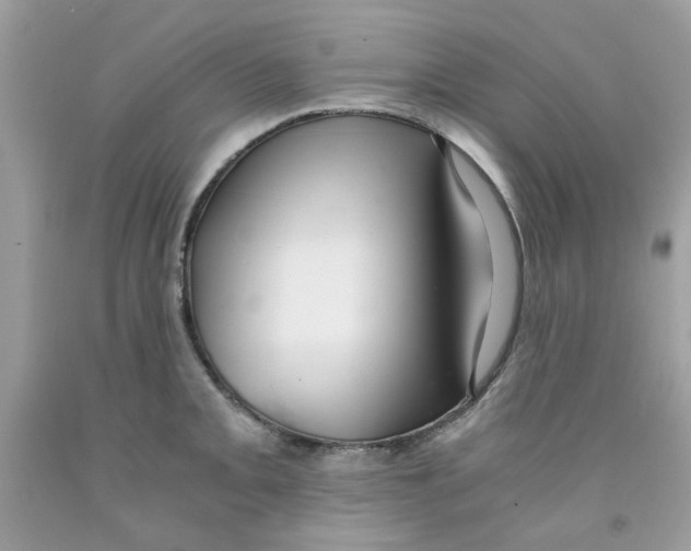 X0000091061093200709041153