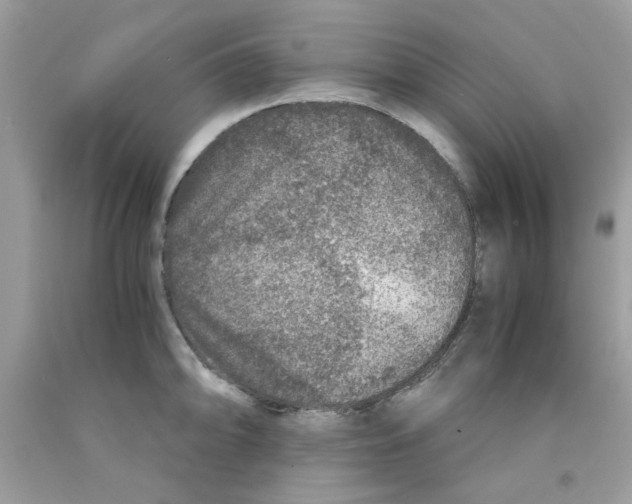 X0000091061094200709041153