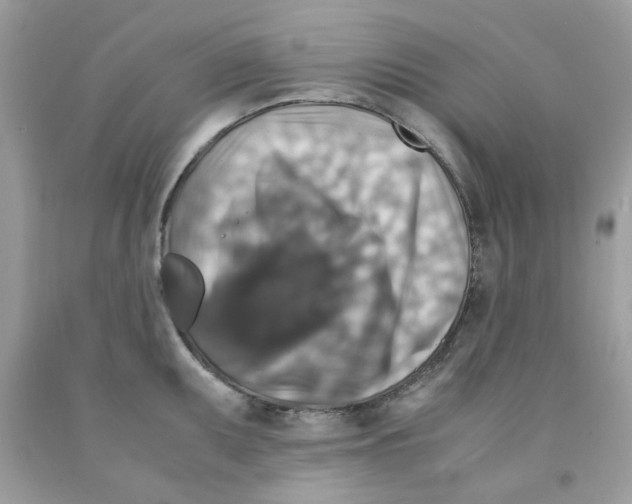 X0000091061095200709041153