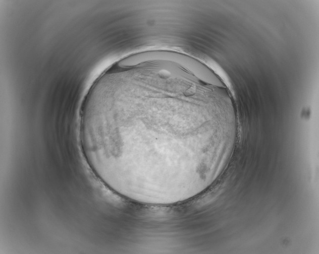 X0000091061096200709041153