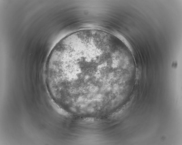 X0000091061098200709041153