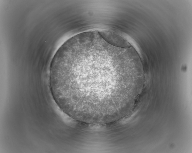 X0000091061099200709041153