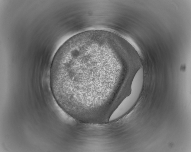 X0000091061100200709041153