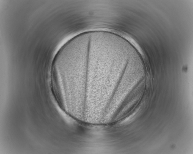 X0000091061101200709041153