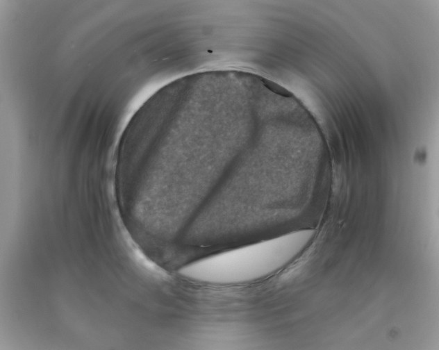 X0000091061102200709041153