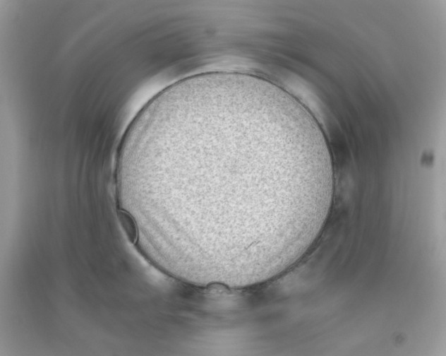 X0000091061103200709041153