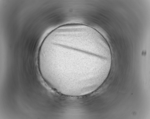 X0000091061104200709041153