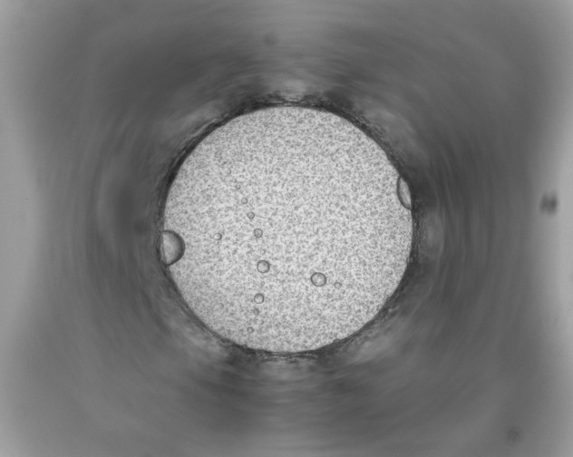 X0000091061105200709041153