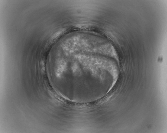 X0000091061106200709041153