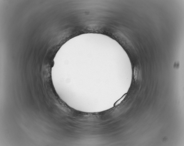 X0000091061107200709041153