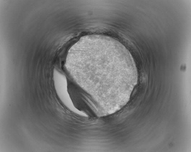 X0000091061108200709041153