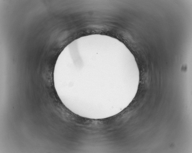 X0000091061109200709041153