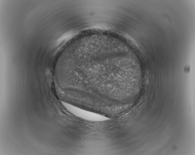 X0000091061110200709041153