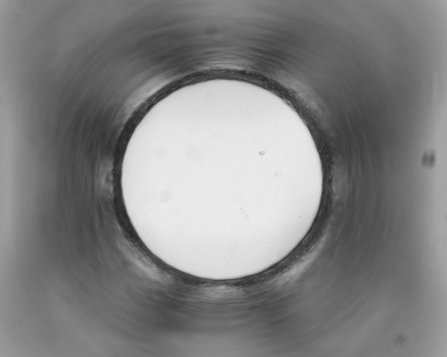 X0000091061113200709041153