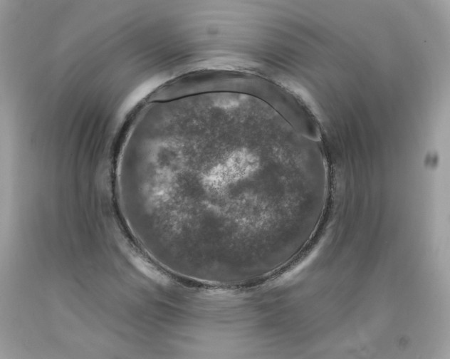 X0000091061114200709041153