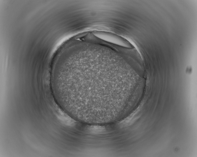 X0000091061115200709041153