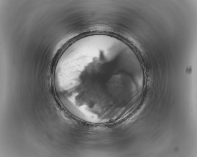 X0000091061117200709041153