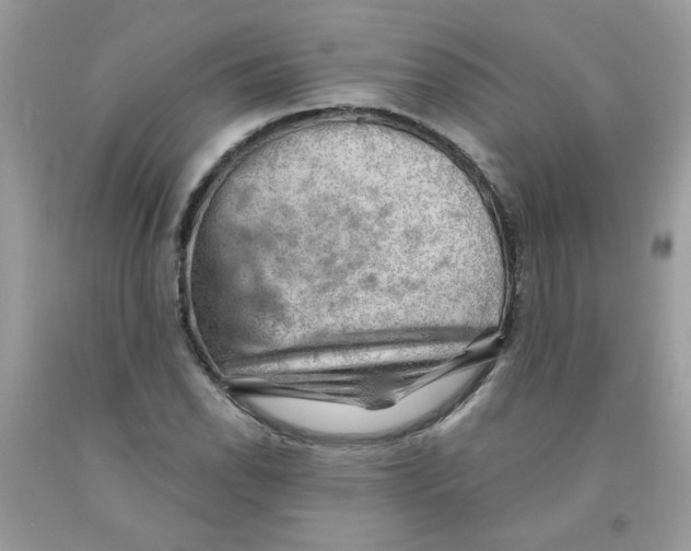 X0000091061118200709041153