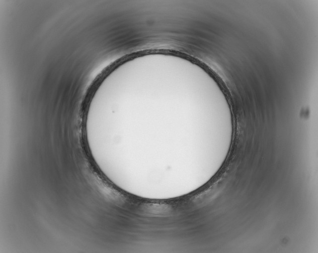 X0000091061119200709041153