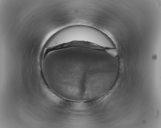 X0000091061120200709041153