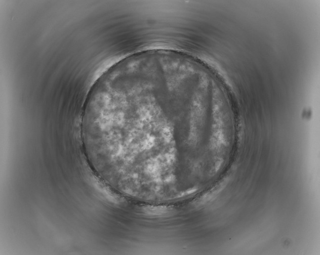 X0000091061121200709041153