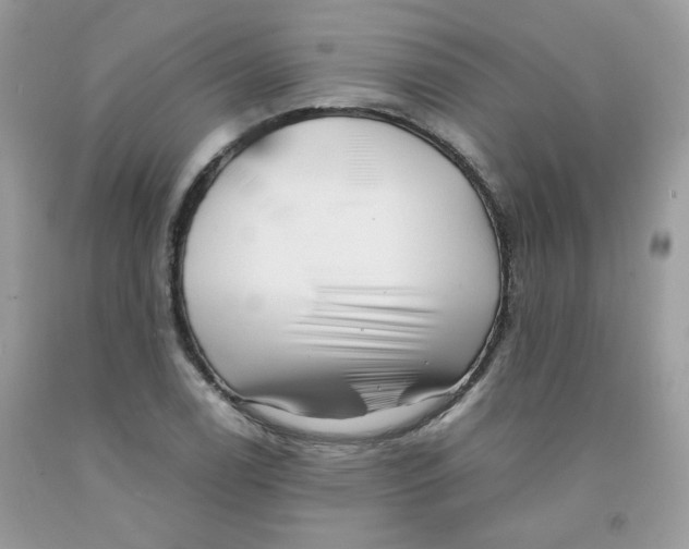 X0000091061122200709041153