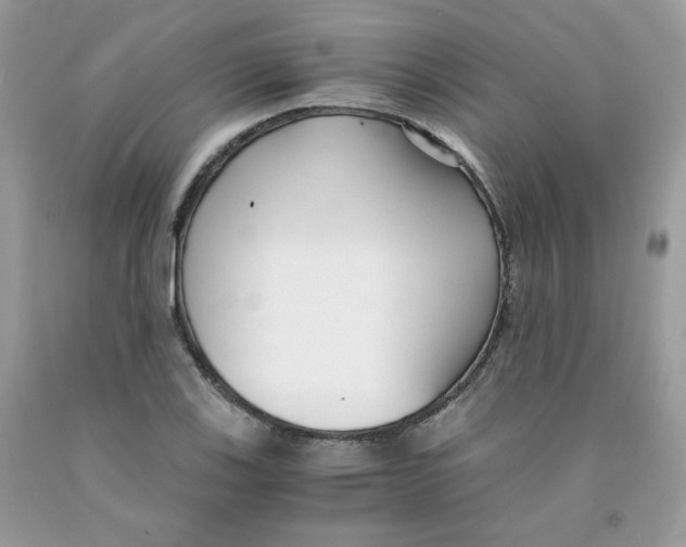 X0000091061123200709041153