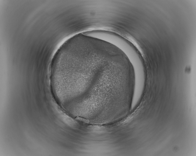 X0000091061124200709041153