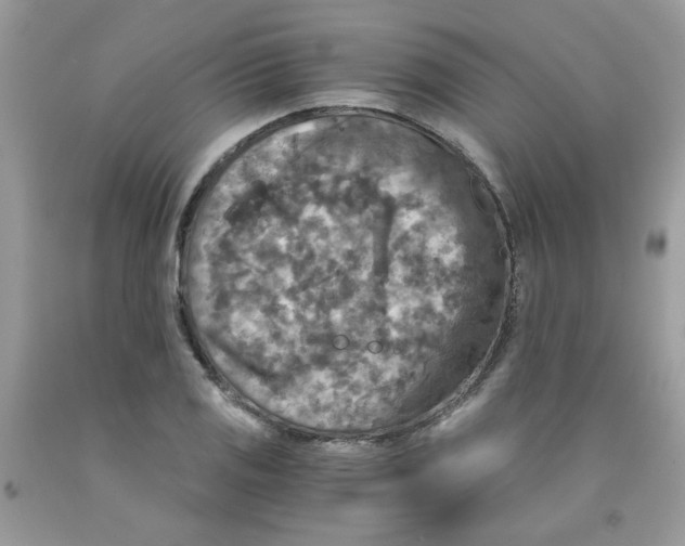 X0000091061125200709041153