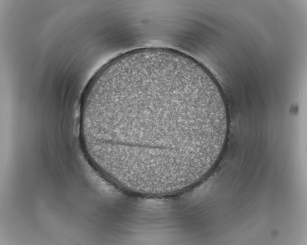 X0000091061126200709041153