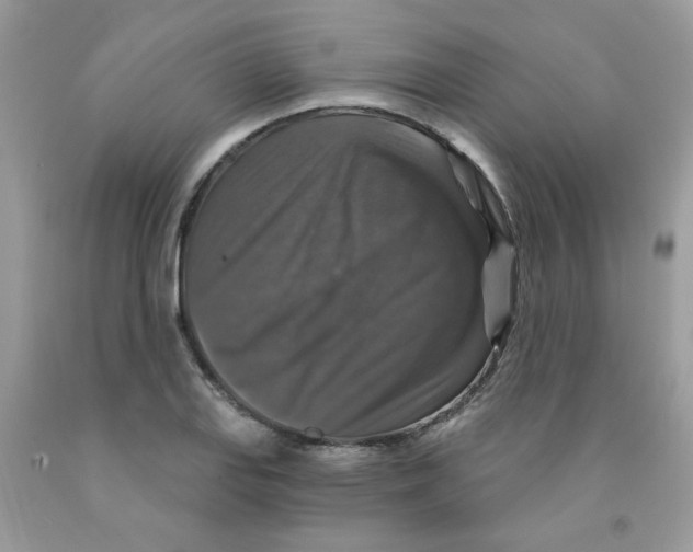 X0000091061127200709041153