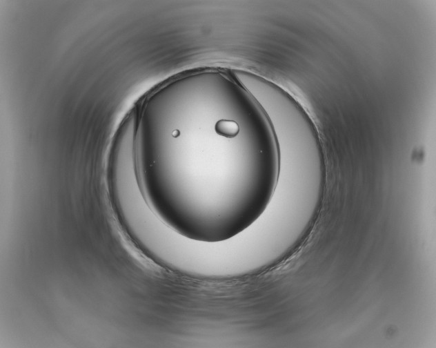 X0000091061128200709041153